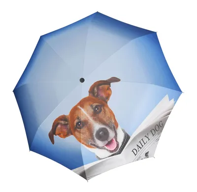 Immagine prodotto di doppler ombrello tascabile ombrello Modern.Art Magic Mini Daily Dog porpora multicolore