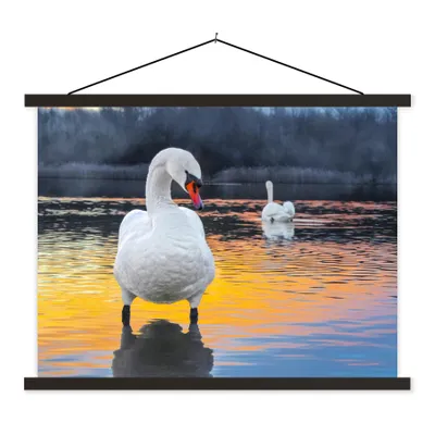 Produktbild von MuchoWow® Textilposter Schwan - Vogel - Sonnenuntergang - Wasser 120x90 cm mit schwarzem Rahmen - Aufhänger für Poster