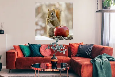 Produktbild von MuchoWow® Poster Eichhörnchen - Apfel - Blumensamen - Schnee 100x100 cm - Babyzimmer
