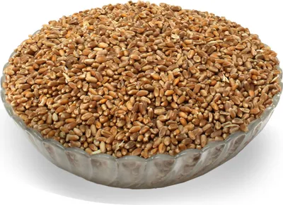 A clear, well-lit studio shot of a glass bowl filled with wheat grains, set against a plain white background.