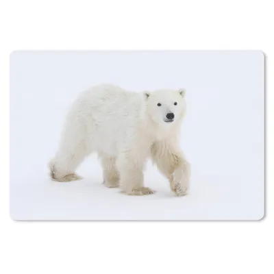 Produktbild von MuchoWow® Mauspad Mousepad Eisbär - Schnee - Weiß 27x18 cm - Mousepads - Maus Mat - Pad - Mausunterlage - Büroartikel - Desk Matten