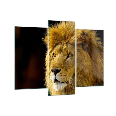 Produktbild von Bilder auf glas - Löwe Tiere Tierwelt - 130x100cm - Glasbilder - Wandbilder - Kunstdruck - zum Aufhängen bereit - Wanddekoration aus Glas - Glas Bilder - Wandbild auf Glas - 3 Teile - GCB130x100-1237