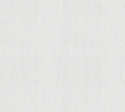 Obrázek produktu pro A.S. Création netkaná tapeta Meistervlies Pro Protect 2, bílá, malovatelná, 25,00 m x 1,06 m, 244017, 2440-17