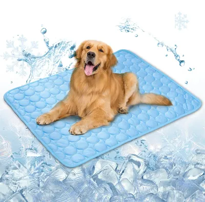 Image de Solidchoice - Tapis rafraîchissant pour chiens, 100 x 70 cm, lavable et pliable