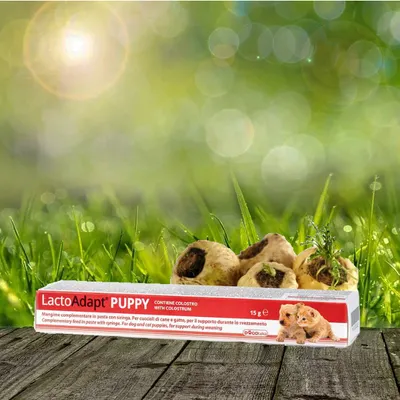 Produktbild von Dogoteka - LactoAdapt PUPPY - 15 g   zur Unterstützung bei der Entwöhnung von Welpen - mit Kolostrum