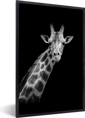 Produktbild von MuchoWow® Gerahmtes Poster Giraffe - Wildtiere - Schwarz - Weiß - Porträt 60x90 cm - Poster mit Schwarzem Bilderrahmen Wandposter Rahmen Foto Bilder - Kunst