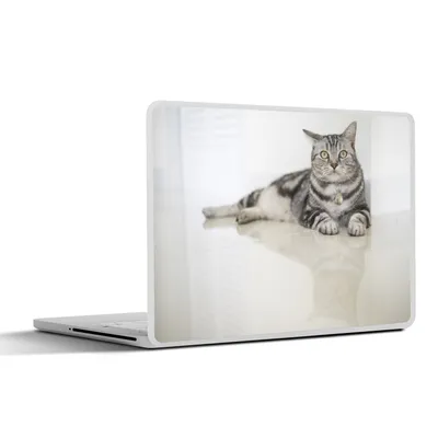 Produktbild von MuchoWow® Laptop Aufkleber Sticker Cover Katze - Grau - Tier - Mädchen - Kinder - Jungen - Kind 30x21 cm - Sticker für Laptop - Selbstklebend