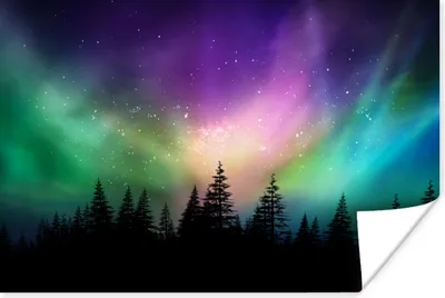 Produktbild von MuchoWow® Poster Nordlicht - Sternenhimmel - Wald - Kanada 60x40 cm - Schlafzimmerdekoration