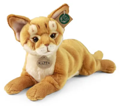 Image de Peluche Chat Abyssin 34 Cm Ecologique