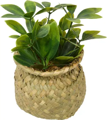 Produktbild von Künstliche topfpflanze jil 10x10cm  - Atmosphera créateur d'intérieur