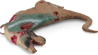 Produktbild von COLLECTA Tyrannosaurus-Kadaver – (XL)