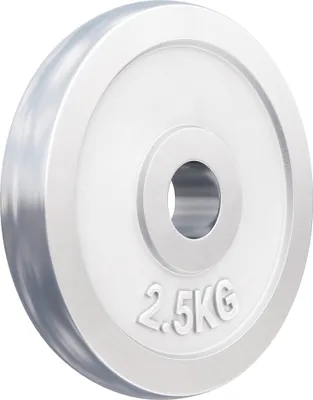 Produktbild von GORILLA SPORTS® Hantelscheiben - 2,5 kg Gewichte, 30/31mm Bohrung, aus Chrom - Gewichtsscheiben