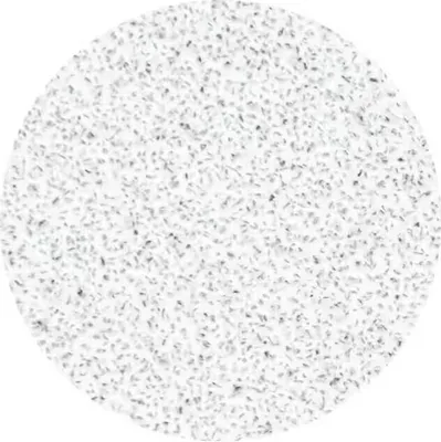 Produktbild von Staleks Pododisc Overlays L 80 grit 50 Stück