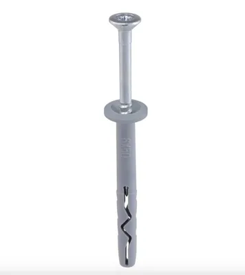 A single wall plug and screw assembly against a white background.