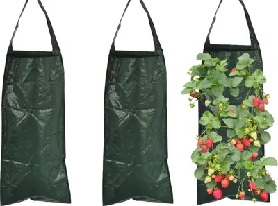 Produktbild von Packung mit 3 Outdoor-Pflanzsäcken mit 10 Löchern - Atmungsaktive vertikale hängende Pflanzsäcke für Erdbeeren, Tomaten und Gemüsepflanzen