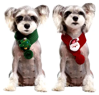 Produktbild von 2 Stück Weihnachtskostüm für Katzen und Hunde, Weihnachtsmann- und Weihnachtsbaum-Schal in Grün und Rot, Hundeschal für Hunde und Katzen, Geschenk für Welpen