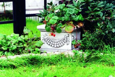 Produktbild von Blumenkübel Pflanz Kübel Dekoration Figur Blumentöpfe Garten Vasen 569