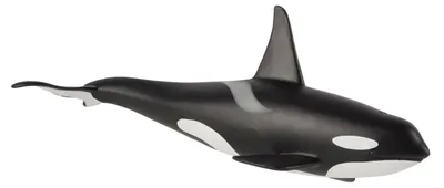 Zdjęcie produktu dla Mojo Fun Male Orca, 3 lat(a), SEALIFE, Czarny, Biały, Polichlorek winylu (PVC)