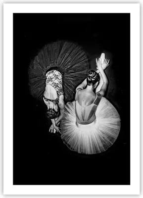 Produktbild von Poster - Poster ohne Rahmen - Ballerinas Ballett Tanz - 50x70 cm - Wand Bild - Wanddeko - Wandbilder - Kunstposter - Wandposter - Bilder - Kunstdruck - Wanddekoration - Wandbild - P2XPA50x70-5050