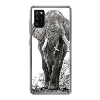 Produktbild von MuchoWow® Handyhülle Schutzhülle Hülle für Samsung Galaxy A41 Elefant - Porträt - Tiere - Schwarz und weiß Silikon Softcase Handy Hülle - Mobiltelefon