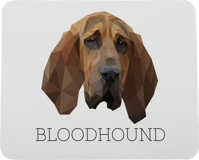 Immagine prodotto di Art-Dog Tappetino per mouse – Bloodhound