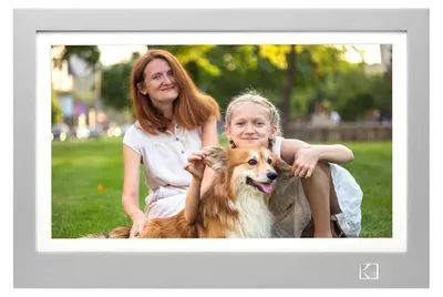 Image de Kodak RWF-116B WiFi grau/weiss