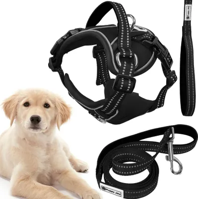 Zdjęcie produktu dla Smycz i szelki dla psa PJ-059 black L