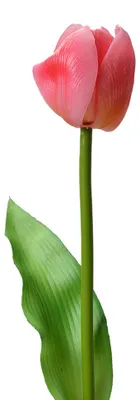Obrázok produktu pre Clayre & Eef umelý kvet tulipán 32 cm ružový plast