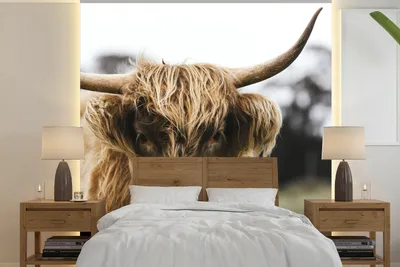 Obrázek produktu pro MuchoWow® Fototapety do obývacího pokoje nebo ložnice tapety vinylové motivy tapety Skotský horal - portrét 240x240cm