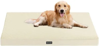Immagine prodotto di Cuccia ortopedica per cani, spessore 10 cm, beige, taglia media-grande, antiscivolo