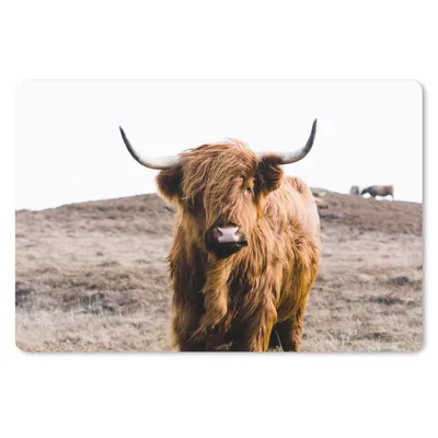 Produktbild von MuchoWow® Mauspad Mousepad Schottische Highlander - Landschaft - Kuh - Braun - Tiere - Natur 27x18 cm - Mousepads - Maus Mat - Pad - Mausunterlage - Büroartikel - Desk Matten