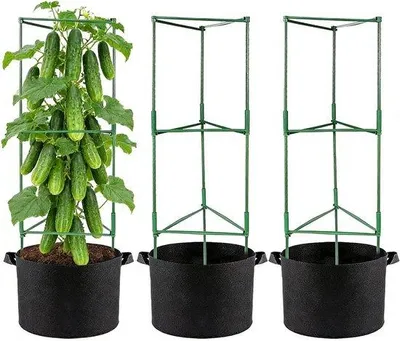 Produktbild von Tomatenstützen verstellbar - 120 cm hoch, ideal für Balkon und Terrasse