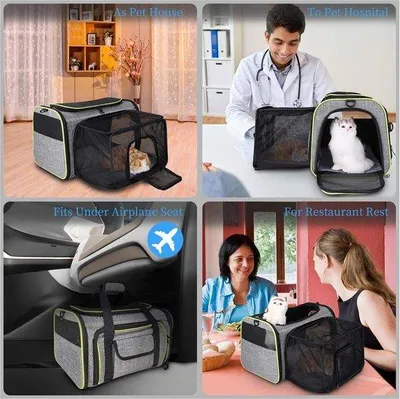 Produktbild von Famanu Transportbox für kleine Haustiere - 43 x 28 x 28 cm