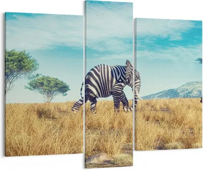 Produktbild von Bild auf Leinwand - Leinwandbild - 3 Teile - Surreal Elefant Rippen - 95x80cm - Wand Bild - Wanddeko - Wandbilder - Leinwanddruck - Bilder - Wanddekoration - Leinwand bilder - Wandbild - CB95x80-4717