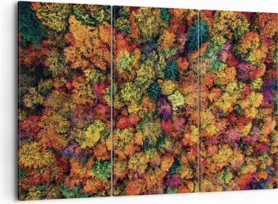 Produktbild von Bild auf Leinwand - Leinwandbild - 3 Teile - Herbst Perspektive Vogel - 105x70cm - Wand Bild - Wanddeko - Wandbilder - Leinwanddruck - Bilder - Wanddekoration - Leinwand bilder - CE105x70-4478