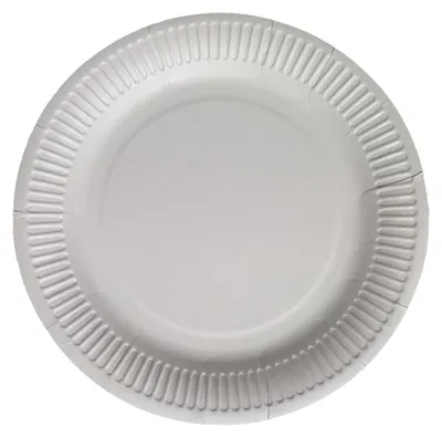Zdjęcie produktu dla Talerz papierowy biały 28cm, 100szt