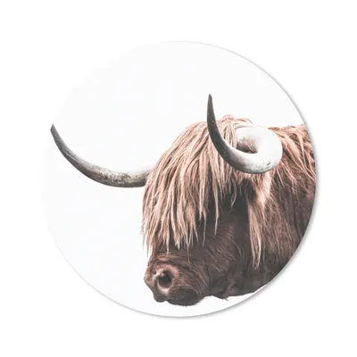 Produktbild von MuchoWow® Mauspad Mousepad Schottischer Highlander - Hörner 30x30 cm - Mousepads - Maus Mat - Pad - Mausunterlage - Tischunterlage - Schreibtischmatten