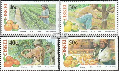Produktbild von Briefmarken Südafrika - Ciskei 1988 Mi 141-144 (kompl.Ausg.) FDC Zitruswirtschaft
