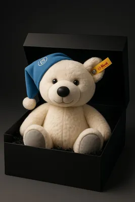 Produktbild von BMW Geschenkset in exklusiver Geschenkbox Teddy Plüschtier Kuscheltier