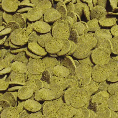 Produktbild von sera Catfish Chips Nature, Zierfisch, Trockenfischfutter, Kartoffelchips, Vitamin A, Vitamin B1, Vitamin B2, Vitamin C, Vitamin D3, Vitamin E, Groß, 31,2%