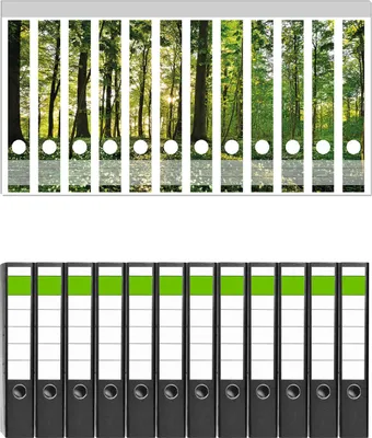 Produktbild von Wallario 12 Stück schmale Ordner inkl. Klebeetiketten mit Motive Waldanemonen und Sonnenstrahlen im Wald -  Set mit Rückenschildern / Ordnerrücken Stickern