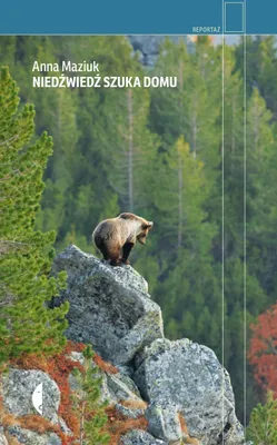 Immagine prodotto di Niedzwiedz szuka domu