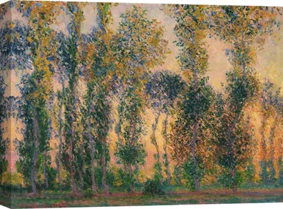 Produktbild von Kunstdruck auf Leinwand - Claude Monet, Pappeln in Giverny, Sonnenaufgang – 70x50 cm