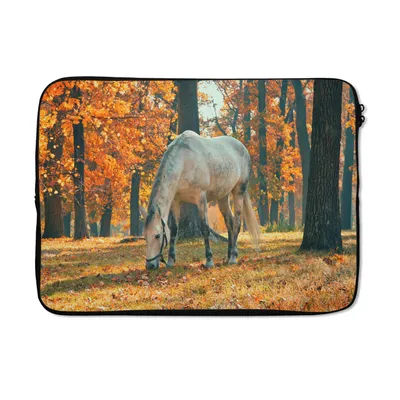 Produktbild von MuchoWow® Laptop Hülle 14 ZollPferd - Herbst - Wald Laptoptasche - Laptoptasche - Stoßsicher - Schutzhaube