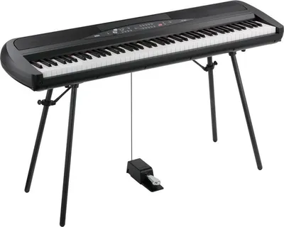 Produktbild von Korg Digitalpiano SP-280 BK Schwarz, 136,1 x 40,6 x 78,5 cm mit Ständer