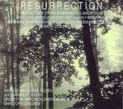 Produktbild von Magalhaes, R: Resurrection