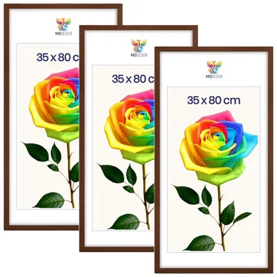 Obrázek produktu pro MG Design, sada 3 kusů rámečků na obrázky, rozměr 35 x 80 cm – rámečky na plakáty s hnědým rámem z masivního dřeva a odolným akrylovým sklem, vhodné pro vertikální i horizontální formáty, s robustním systémem pro zavěšení na zeď