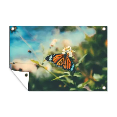 Obrázek produktu pro MuchoWow® Zahradní plakáty - Motýl - Květiny - Zahrada - 60x90 cm - Zahradní dekorace