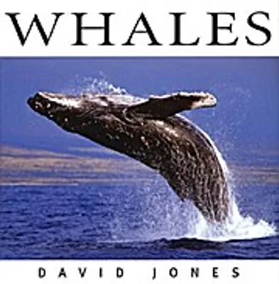 Produktbild von Whales