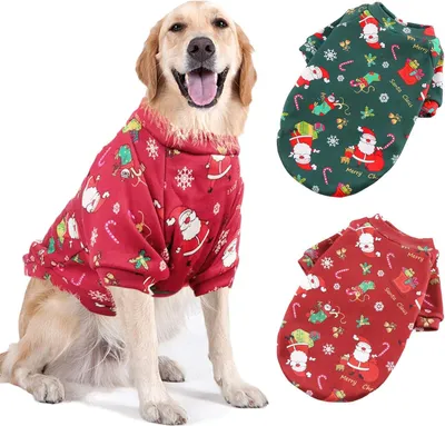Productafbeelding van Hondenpullover, winterkleding - Set van 2 in verschillende kleuren